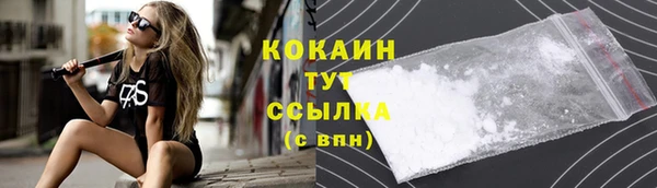 шишки Бронницы