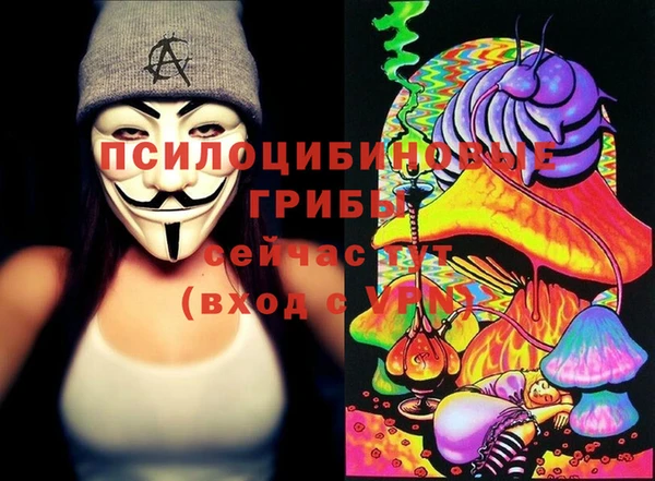 шишки Бронницы