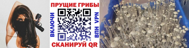 Псилоцибиновые грибы Magic Shrooms  это Telegram  Курск 